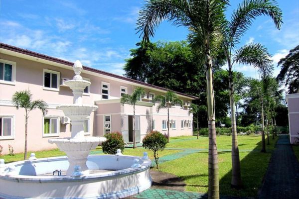 BIGTREE / ビッグツリー