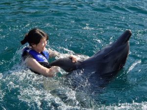 『楽しいおススメ＠スービック』