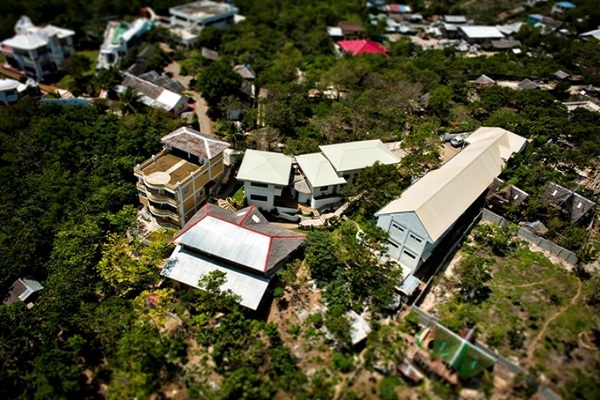 Paradise English/パラダイス イングリッシュ